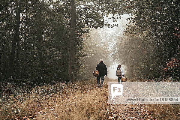 Walk in the fresh air in the autumn misty forest