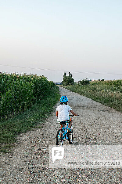 Rear view of a child riding bicycle on road in corn field