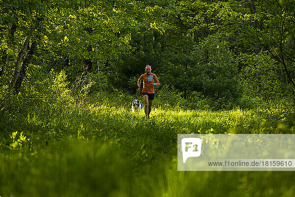 Frau läuft mit einem Hund auf einer grünen Wiese im Wald
