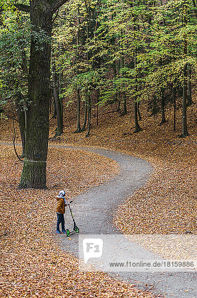 Junge mit einem Motorroller auf einer kurvenreichen Straße zwischen Herbstblättern.