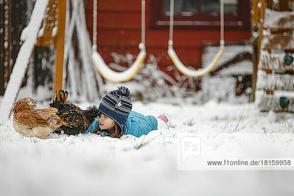 Ein kleines Mädchen liegt im Schnee und spielt mit zwei kleinen Hühnern