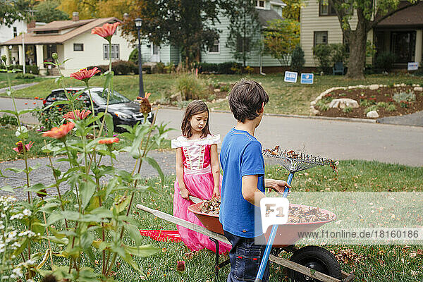 A girl in princess costume helps brother rake yard with wheelbarrow