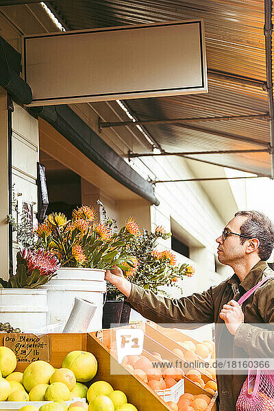 Man with reusable bag looking at Protea flowers in market