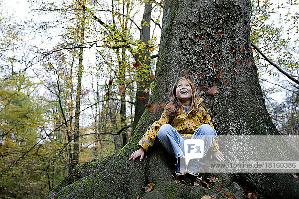 Cheerful girl sitting on tree trunk watching leaves falling in forest