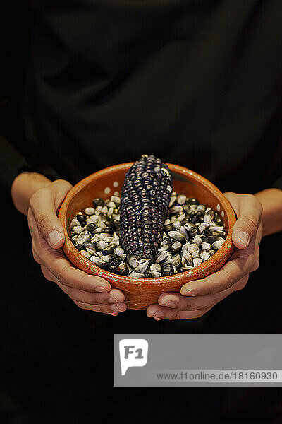 Hands of person holding bowl of black Mexican corn grains