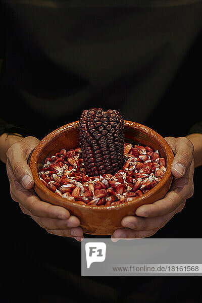 Hands of person holding bowl of red Mexican corn grains