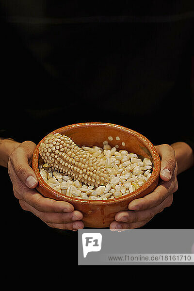 Hands of person holding bowl of corn grains