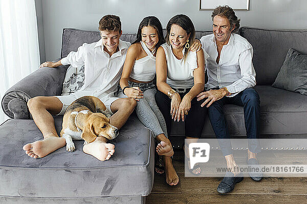 Smiling parents and children looking at dog on sofa in living room at home