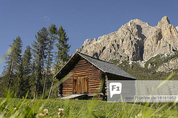 Log cabin in front of rock mountain  Dolomites  Italy