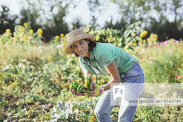 Happy gardener harvesting vegetables at field on sunny day