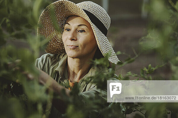Woman with hat working in vegetable garden