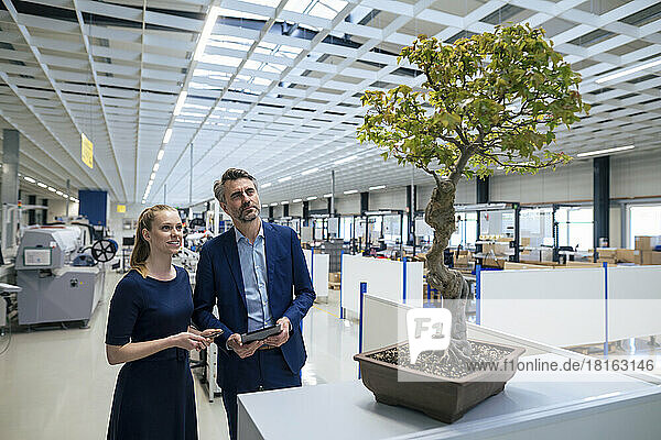 Smiling businesswoman with colleague looking at bonsai tree in industry