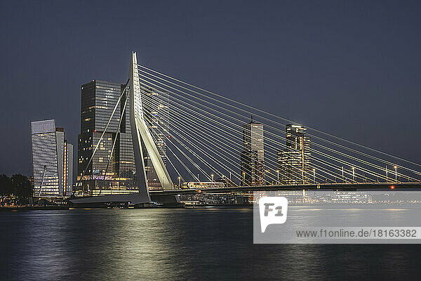 Netherlands  South Holland  Rotterdam  Erasmus Bridge at night
