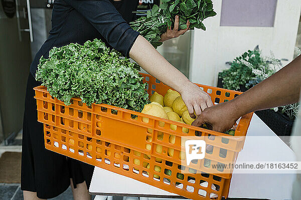 Geschäftsfrau untersucht frisches Gemüse  das für ein Restaurant geliefert wird