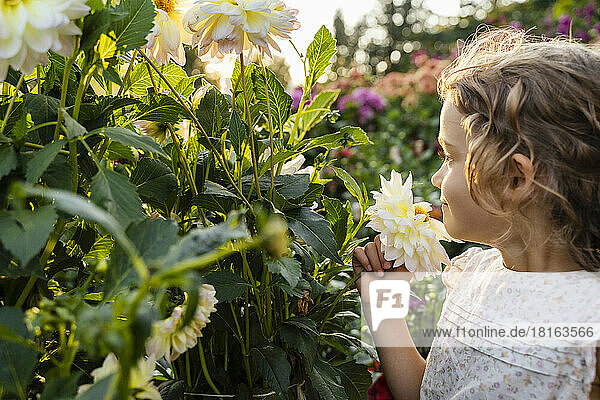Little girl smelling flowers in garden