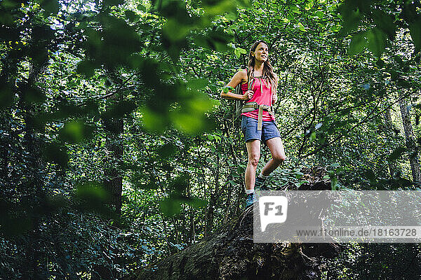 Woman standing on fallen tree in forest