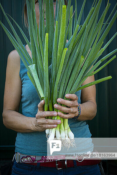 Woman holding freshly harvested spring onions (Allium fistulosum)
