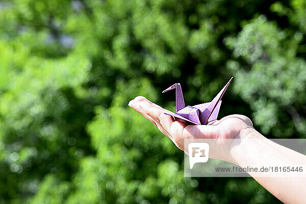 Origamipapierkranich auf der Handfläche