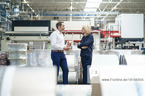 Senior businesswoman discussing with colleague in factory