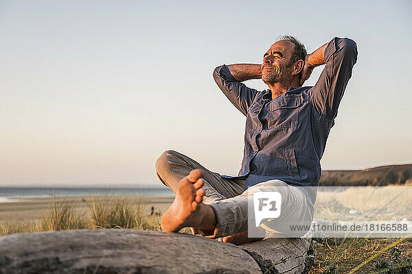 Mature man sitting on log with hands behind head