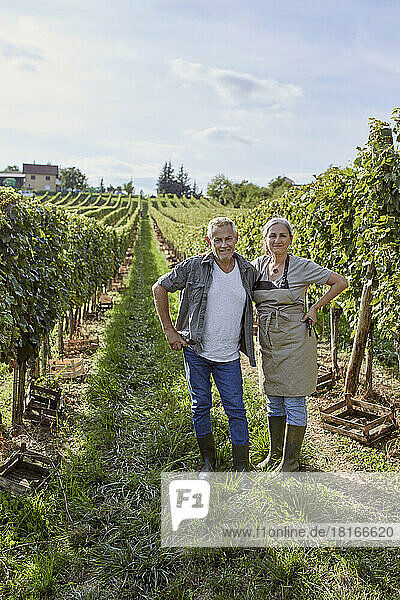 Smiling mature farmers with hands on hips standing in vineyard