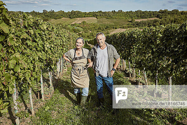 Mature farmers with hand on hip amidst grape vine in vineyard on sunny day