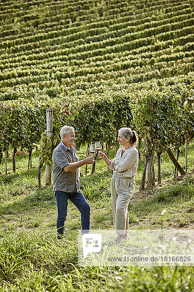 Mature couple toasting wineglasses in vineyard on sunny day