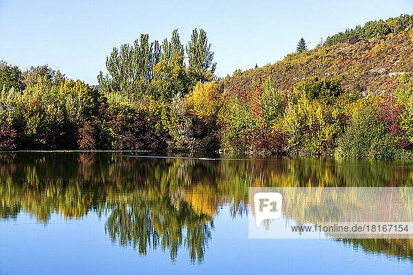 Autumn trees reflecting in Badesee Erlabrunn lake