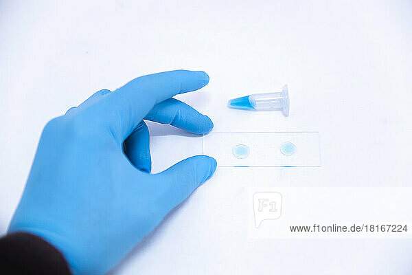 Scientist holding microscope slide with liquid by vial in laboratory