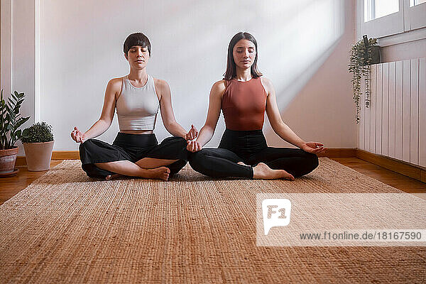 Friends meditating with eyes closed sitting in lotus position doing yoga at home