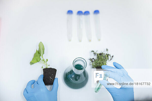 Scientist holding plant and test tube with liquid in laboratory