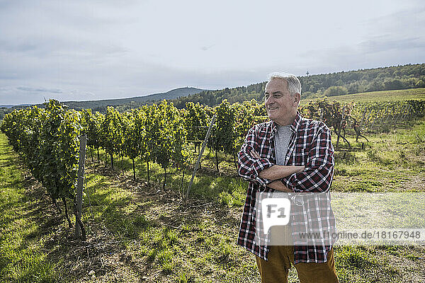 Smiling senior winemaker standing with arms crossed in vineyard