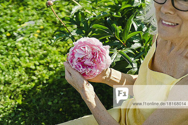 Frau hält an einem sonnigen Tag frische rosa Blumen im Garten