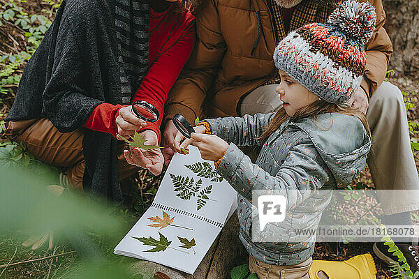 Grandparents and granddaughter looking at leaves through magnifying glass in forest