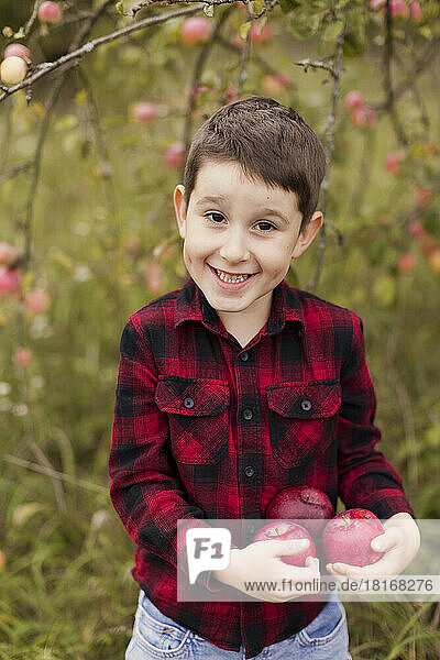 Fröhlicher Junge steht mit frischen roten Äpfeln auf dem Bauernhof