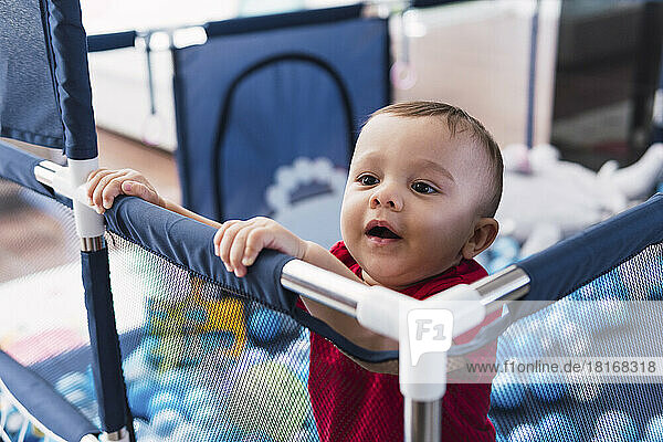 Cute baby boy standing in playpen at home