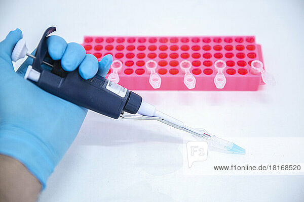 Scientist holding micropipette by rack on table in laboratory
