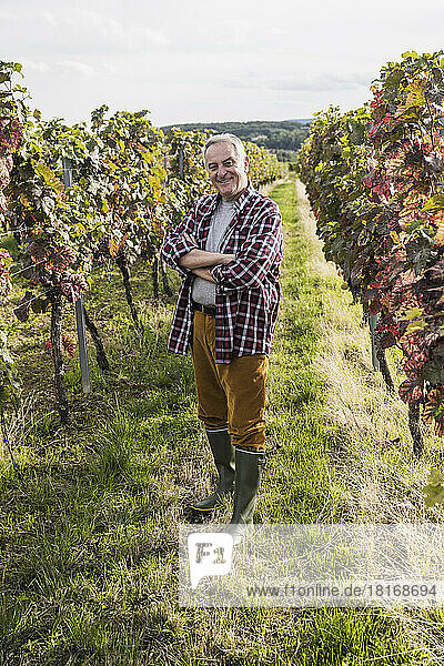 Smiling senior winegrower with arms crossed standing amidst vineyard