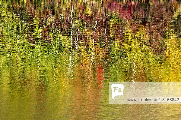 Autumn trees reflecting in Badesee Erlabrunn lake