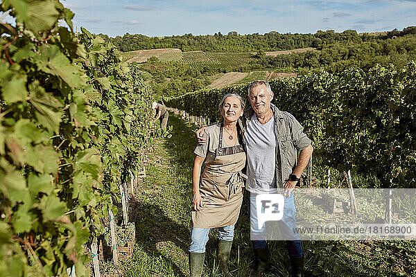 Mature farmers standing amidst grape vine in vineyard on sunny day