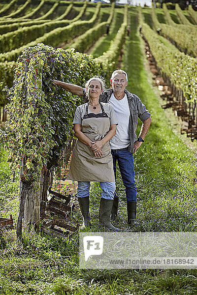 Smiling mature farmers standing by grape vine in vineyard