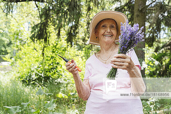 Smiling senior woman with pruning shears holding bunch of lavender flowers