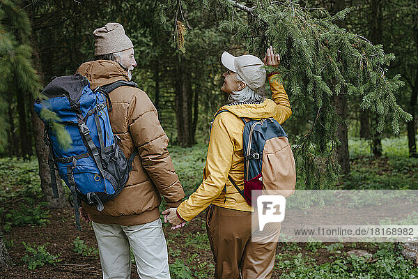 Senior man holding hands of woman walking together in forest