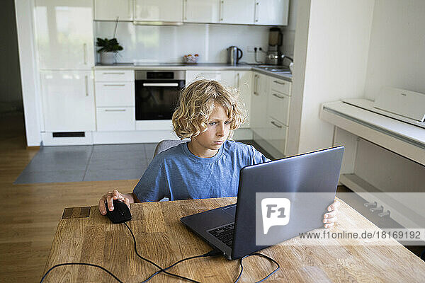 Boy studying through laptop on table at home