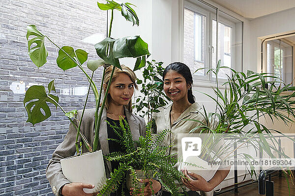 Junge Geschäftsfrauen tragen Topfpflanzen im modernen Büro