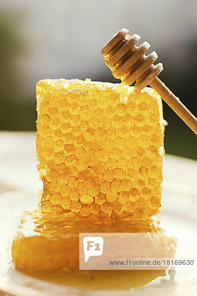 Two honeycombs and honey dipper