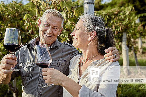 Smiling mature couple holding red wineglasses in front of vineyard