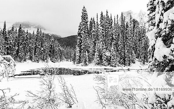 Black and white image of a partially frozen stream with some open water near Emerald Lake in the winter in the Rocky Mountains of Yoho National Park; British Columbia  Canada