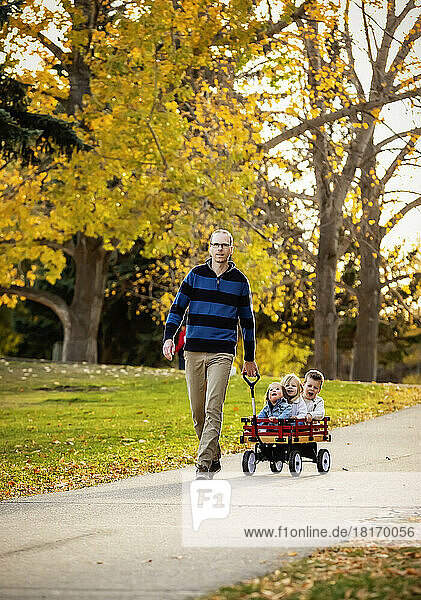 Ein Vater zieht seine kleinen Kinder in einem Wagen entlang eines Flusses in einem Stadtpark mit einer Brücke im Hintergrund während der Herbstsaison; sein kleines Mädchen hat das Down-Syndrom; St. Albert  Alberta  Kanada