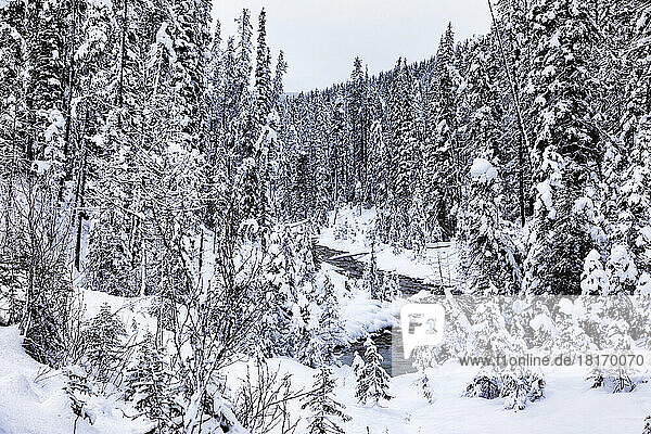 Teilweise zugefrorener Bach im Banff National Park im Winter; Banff  Alberta  Kanada